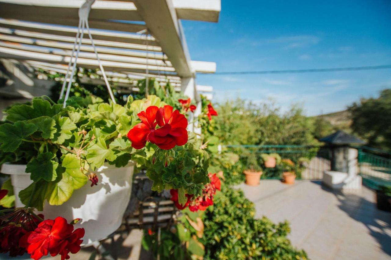 Country House Rusula Vrsine Exterior photo